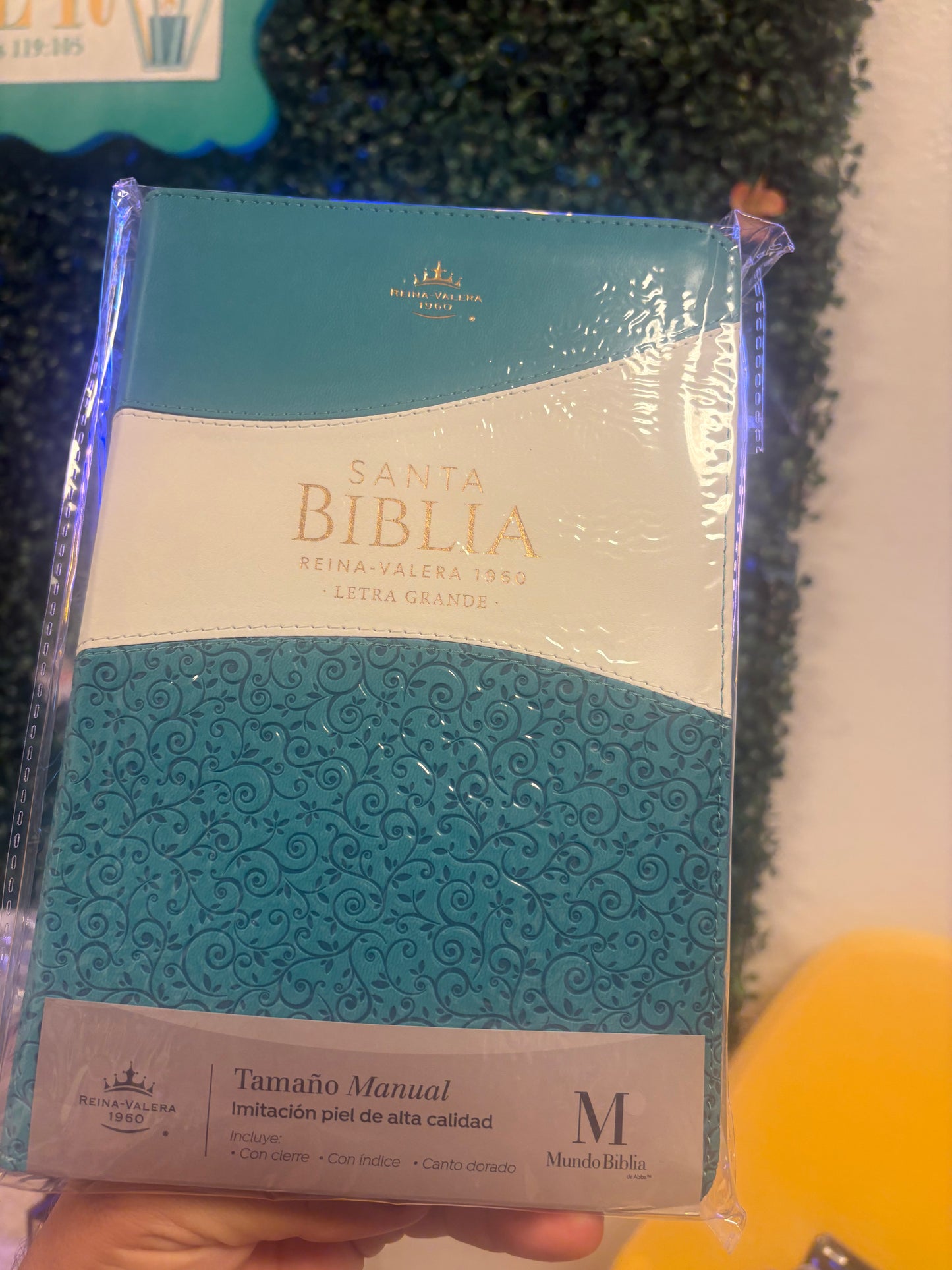 Biblia Letra Grande