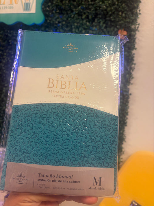 Biblia Letra Grande