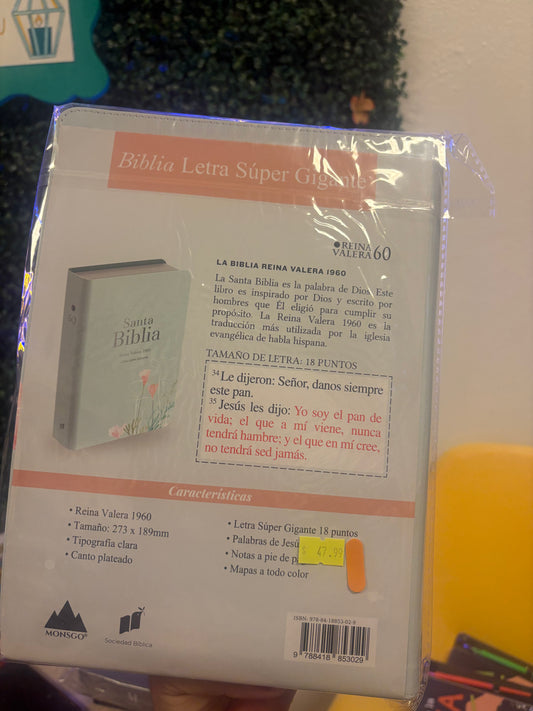 Santa Biblia