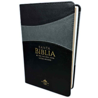 Santa Biblia